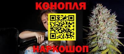 шишки Канаш