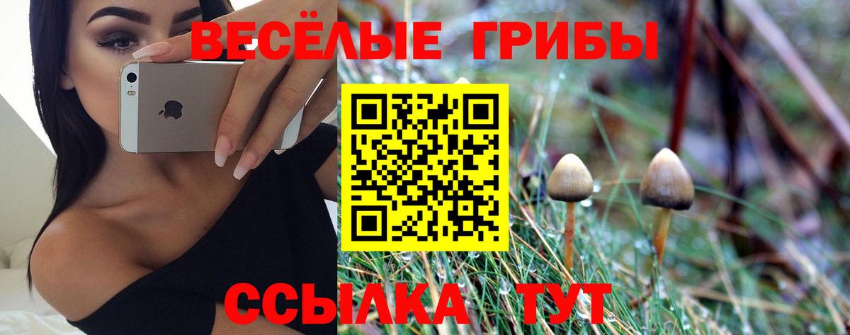 Кушва  Галлюциногенные грибы Cubensis  Вход с VPN 