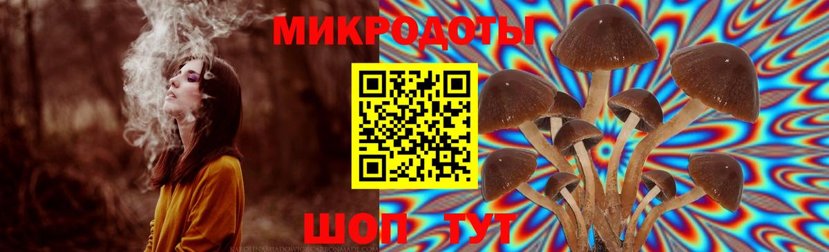 Галлюциногенные грибы Psilocybine cubensis Кушва