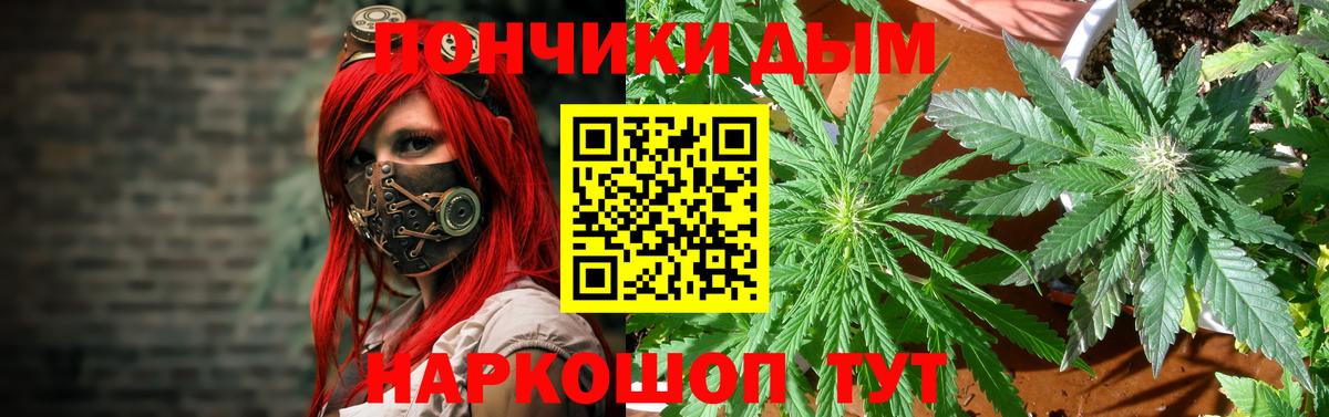 Марихуана сатива Кушва